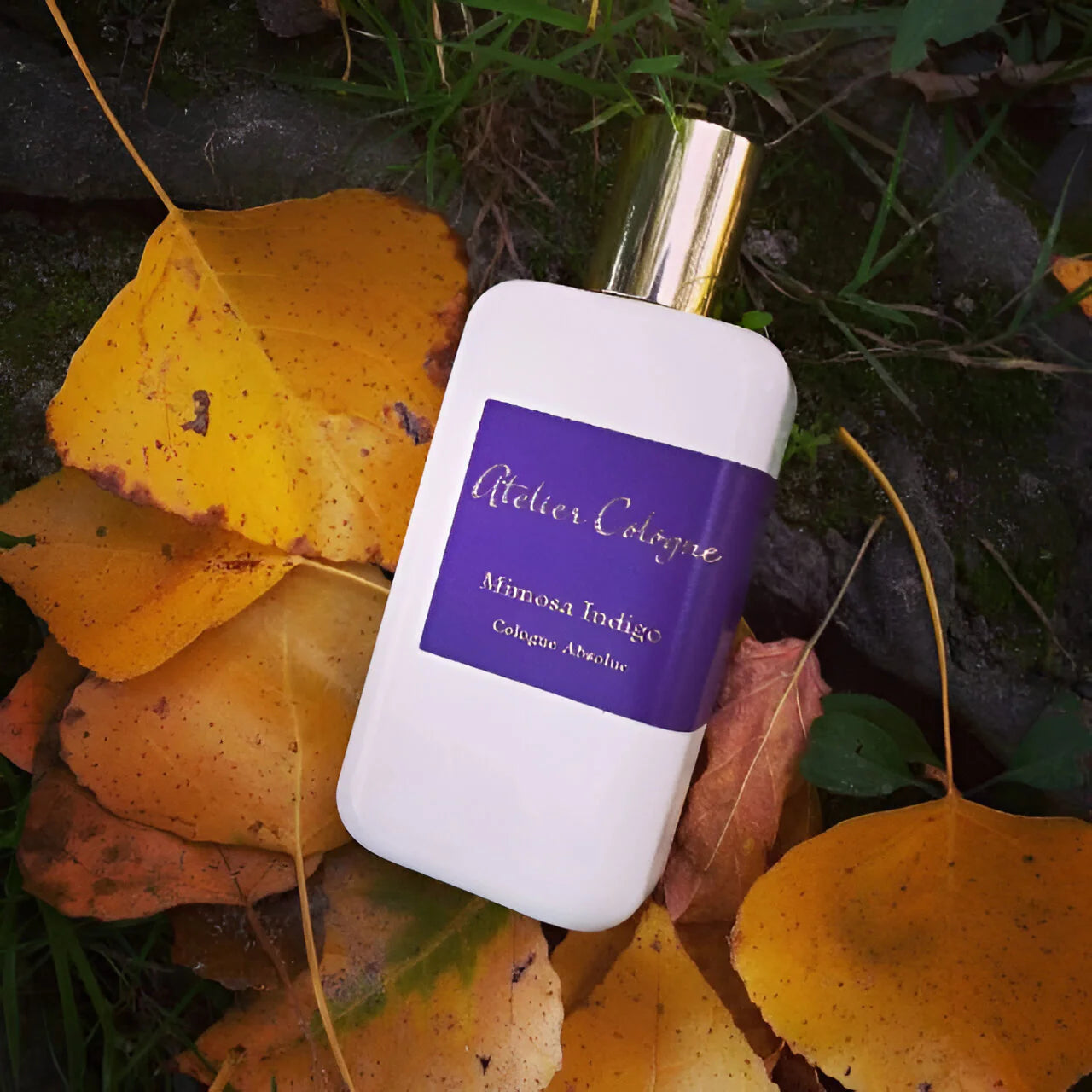 Atelier Mimosa Indigo Cologne Absolue M 200ml Boxed