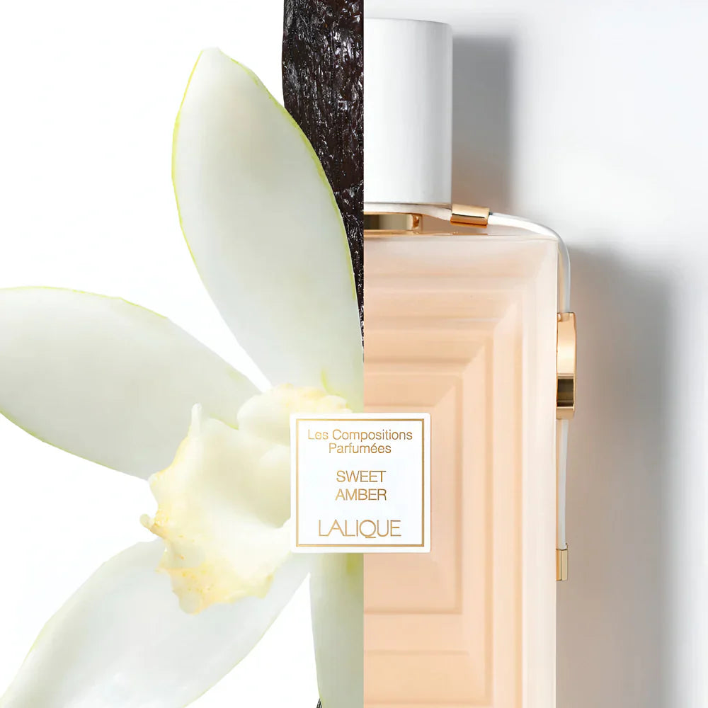 Lalique Les Compositions Parfumees Sweet Amber Edp W 100ml Boxed