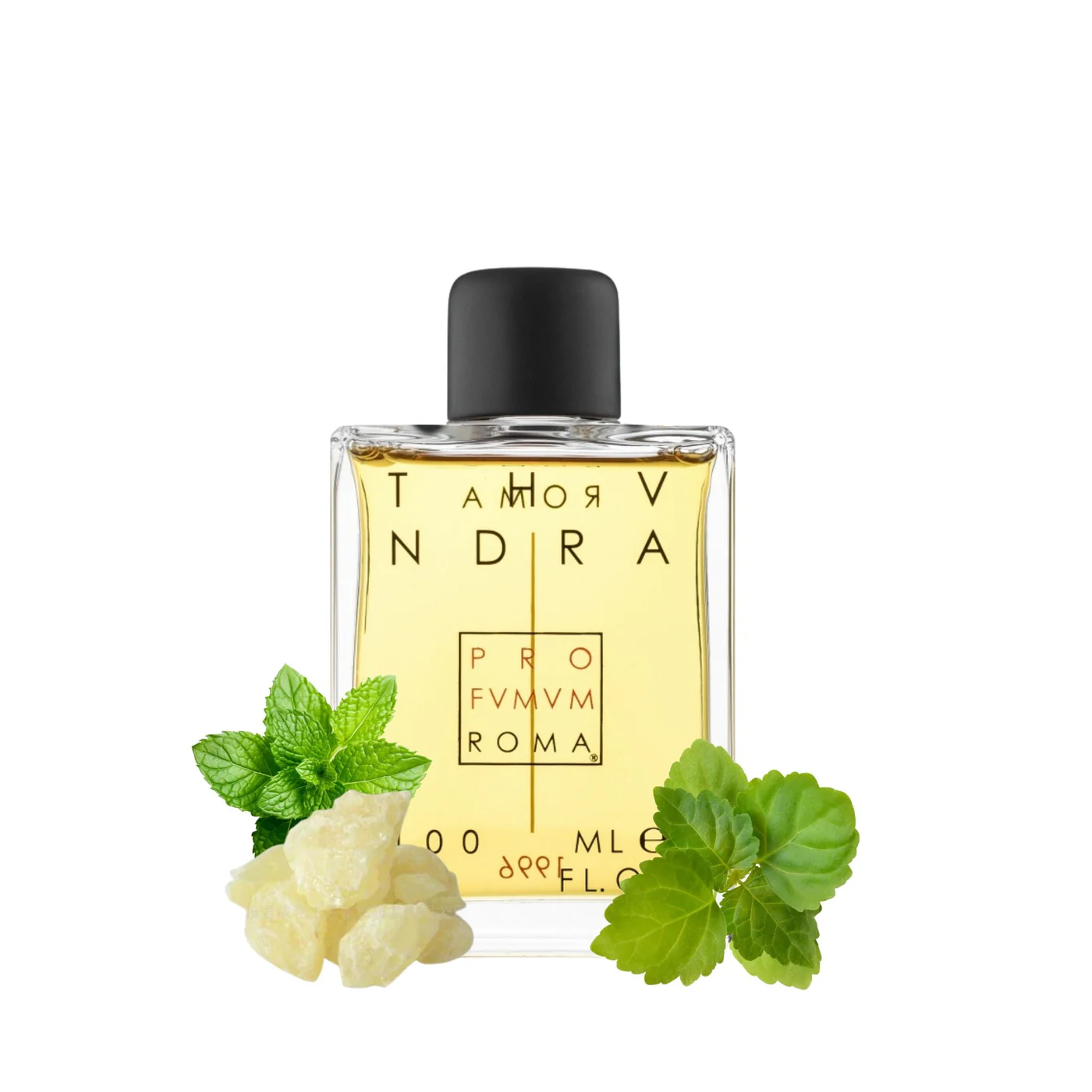 Profumum Roma Thundra EDP M 100ml Boxed