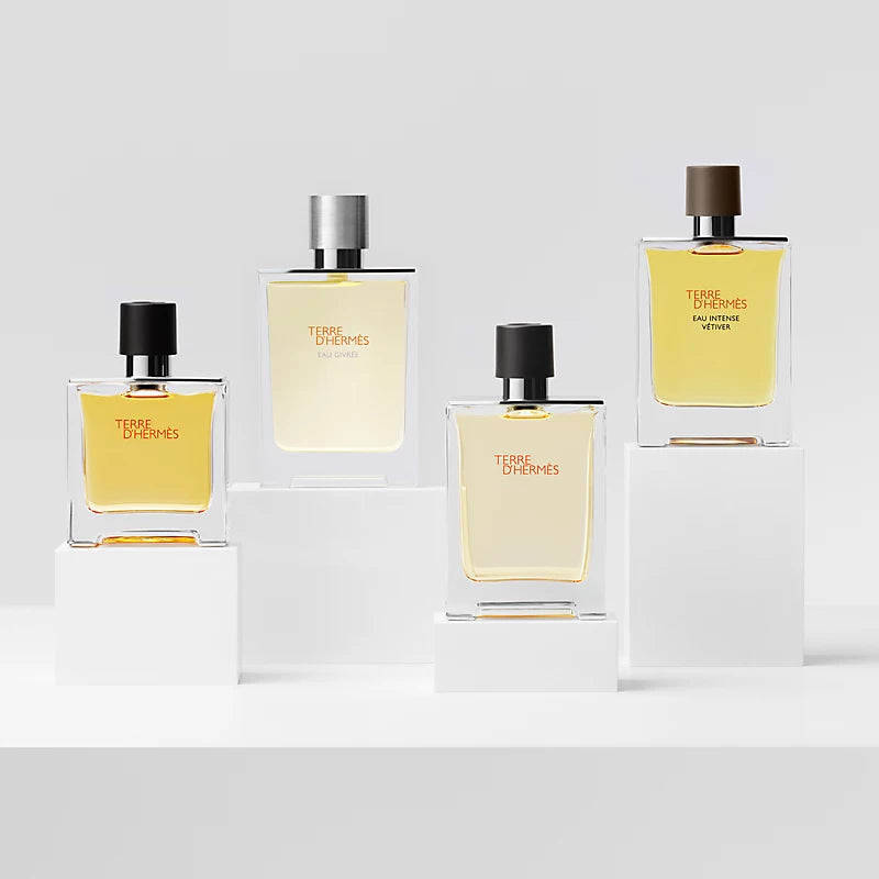 Hermes Terre Intense Vetiver M 100ml Boxed