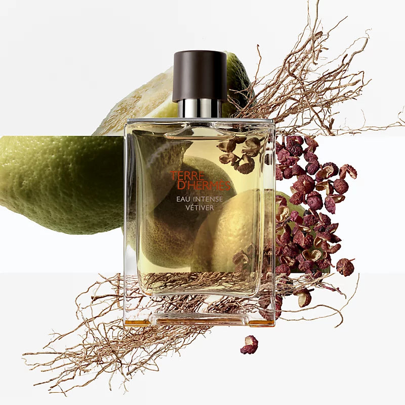 Hermes Terre Intense Vetiver M 100ml Boxed