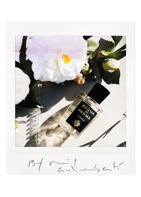 Acqua Di Parma Camelia EDP M 100ml Boxed
